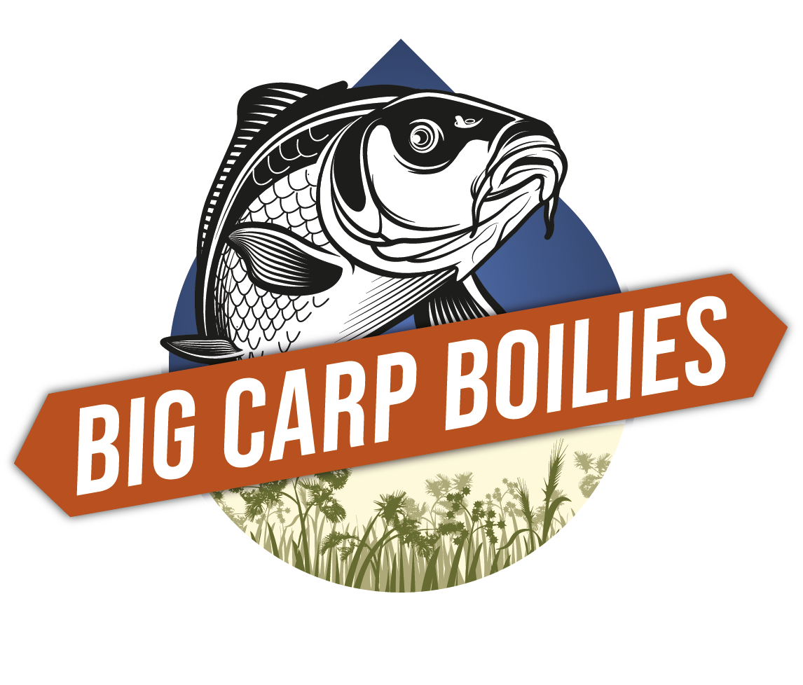 accueil - Big Carp Boilies